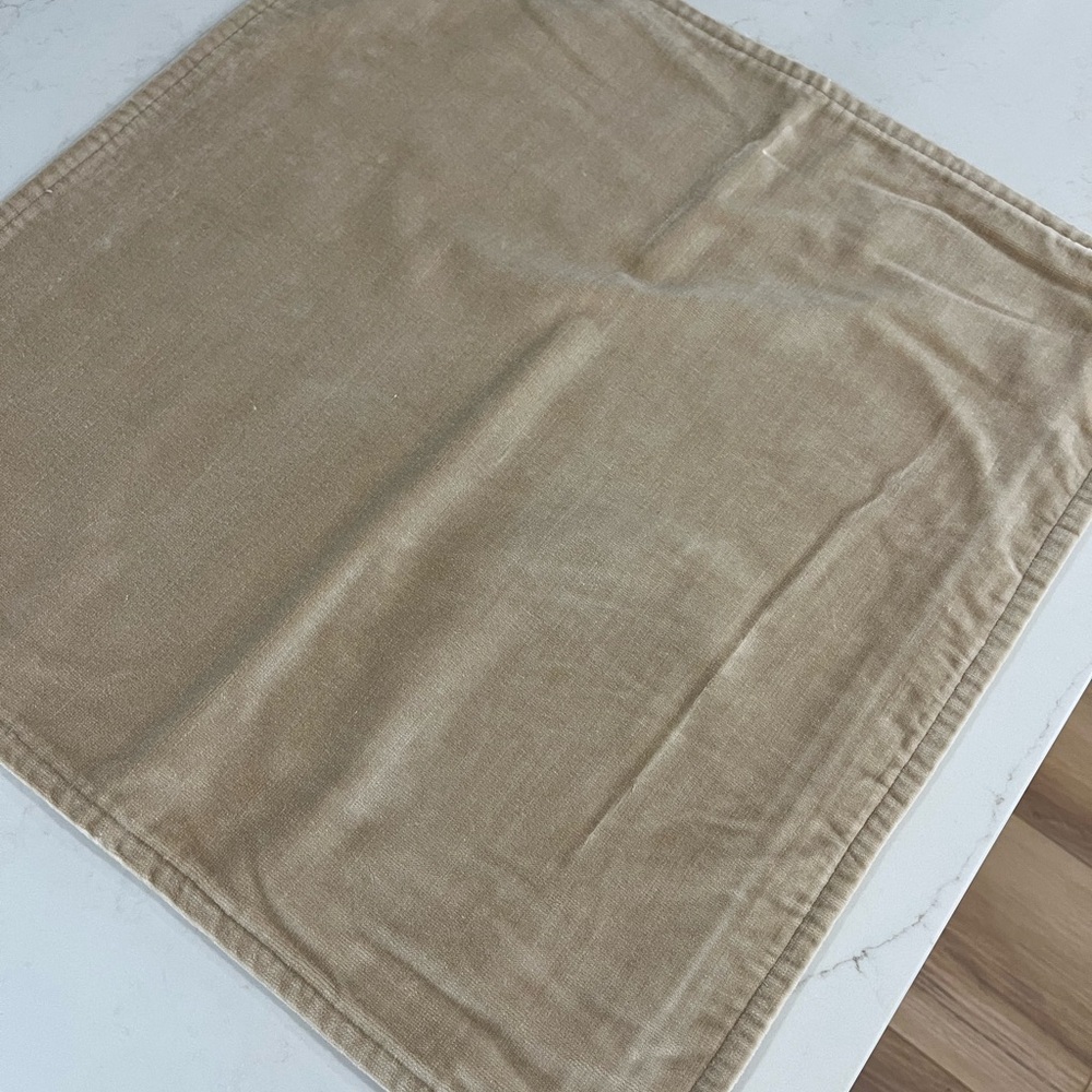 Velvet Pottery Barn Pillowcase Cover 20x20